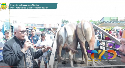 Pendistribusian Hewan Qurban (Pemda Subang) - Idul Adha 14 Juni 2025 - Tim Disnak Dan Tim Setda